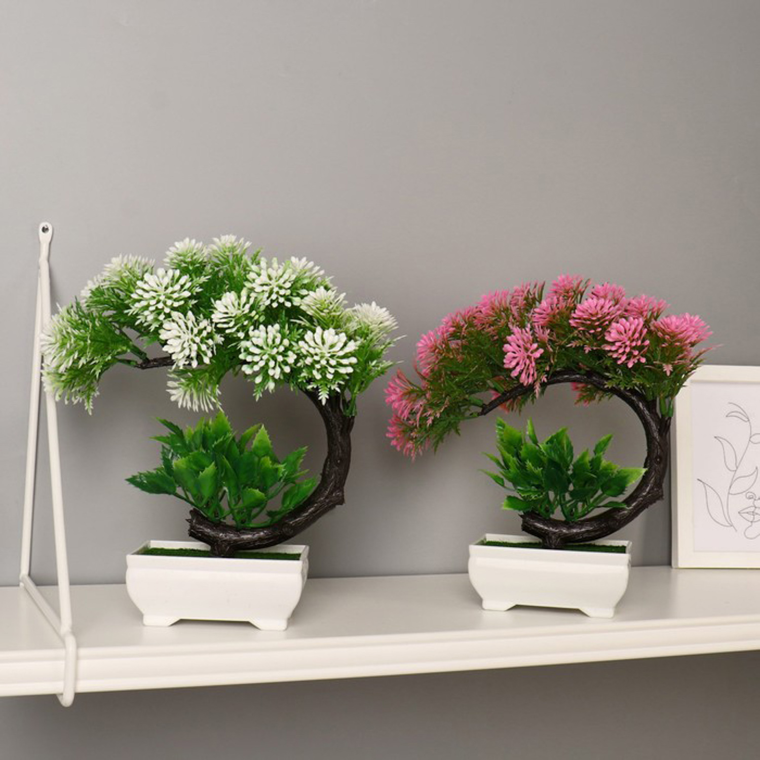 Бонсай "Селагинелла африканская" 10х20 см, микс 7081312