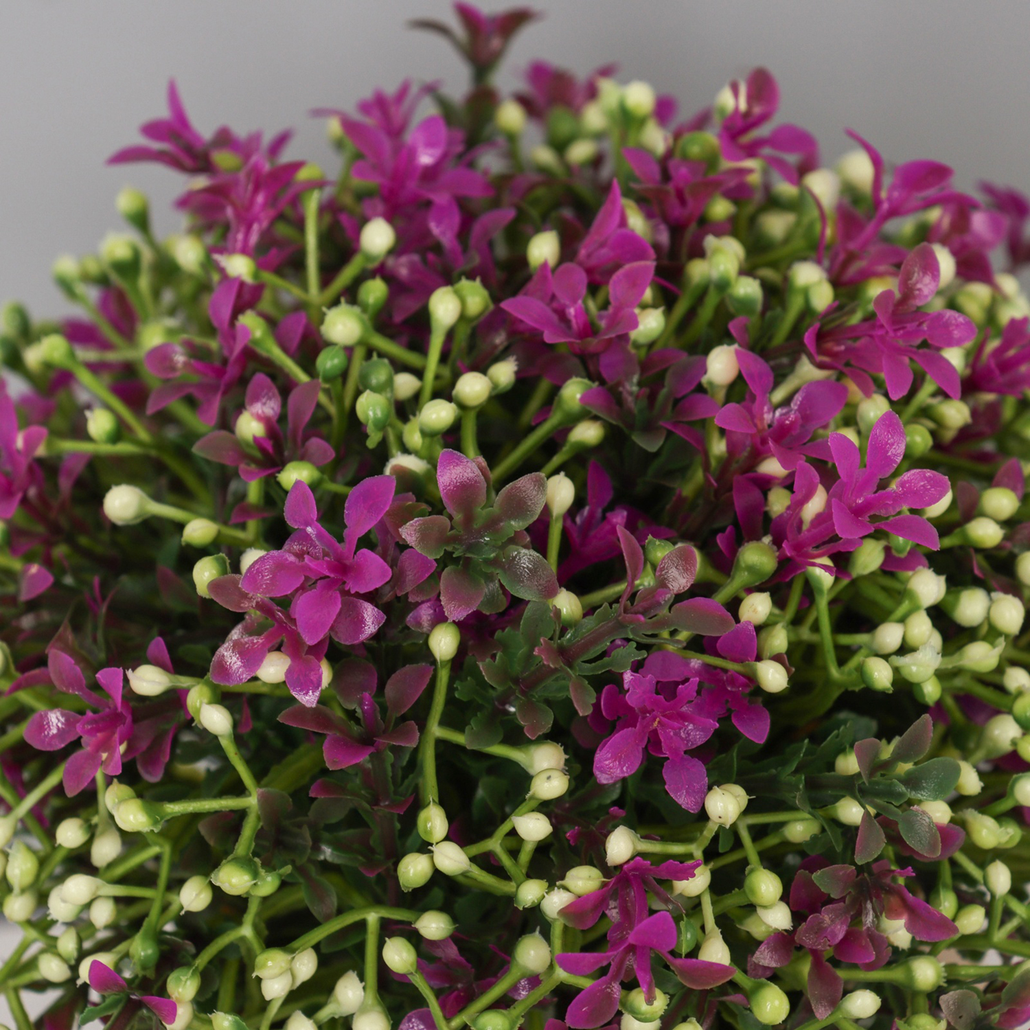 Бонсай в горшке "Бувардия галант" 17х10 см, микс   10697877