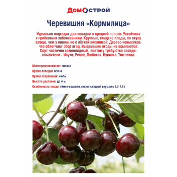 Черевишня Кормилица